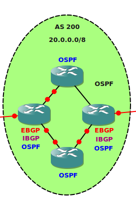 Internal BGP (IBGP)